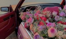 本命年简短朋友圈说说