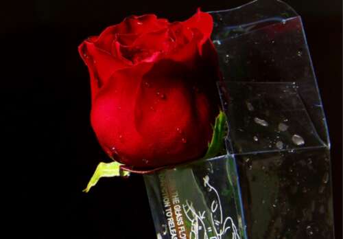 27，与情人节作为一个新的起点，“爱你没有讨论”作为指导思想，高“我爱你”伟大的横幅，练习“科学的爱情概念”，实现世界的共同幸福，你和我必须工作！