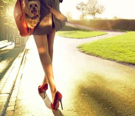 向家庭发送短信，常见的问候1