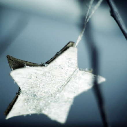 向家庭发送短信