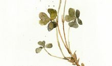 两男一女的友情句子