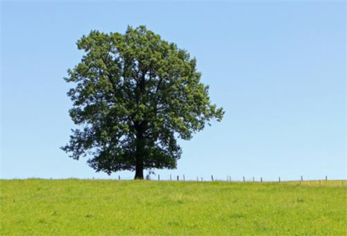 适合一群朋友谈论的短语