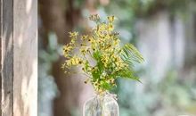 现代问候短信大全