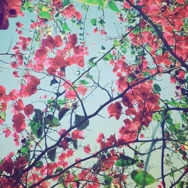 第七组口号有趣