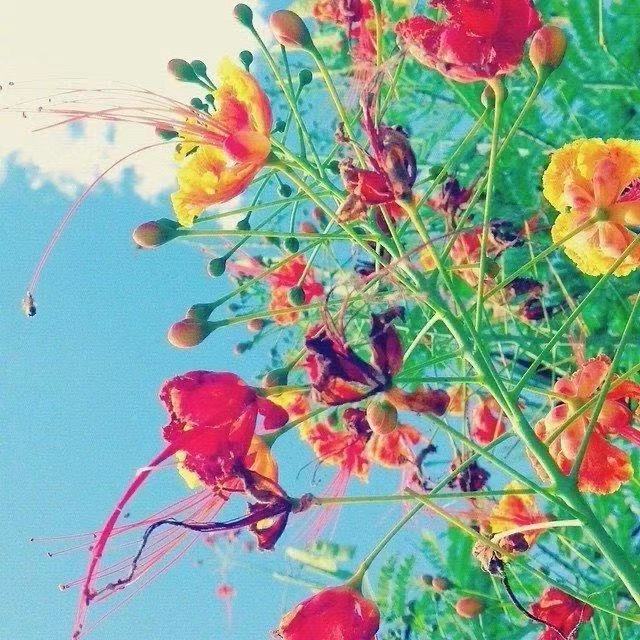 15.集团名称：运动编号：每天都尝试学习。