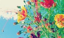 第七小组口号搞笑