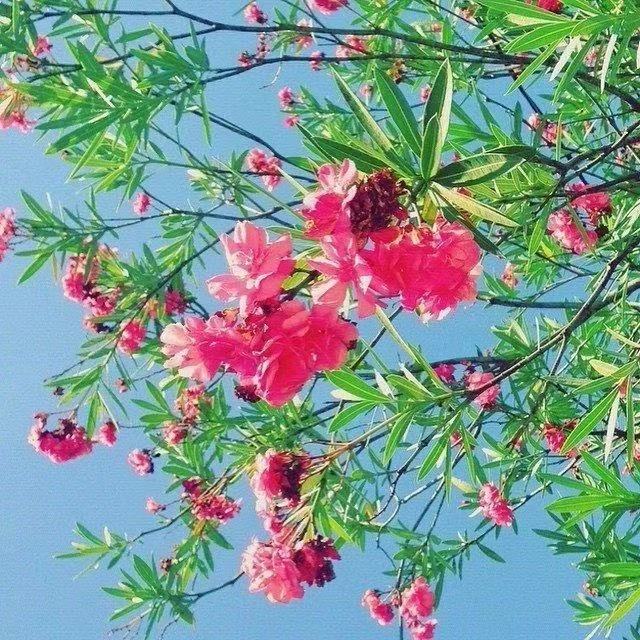 大学集团的口号Creative 1