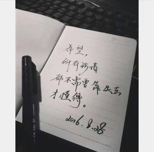 关于珍惜感情的判决