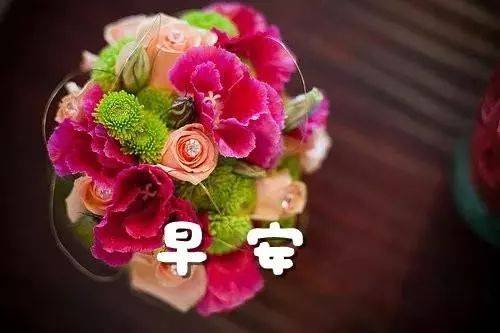 早上，客户问候SMS DAQUAN 1