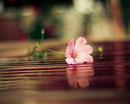 短信给母亲的问候1