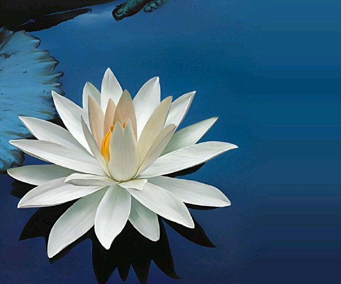 SMS问候骚扰吗？