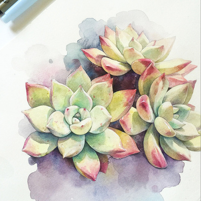 15，朋友不必有太多，一两种亲密，有些人一起微笑，有些人分享寂寞，太好了！