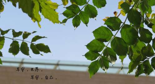 早上好图片带字句子正能量精选 1