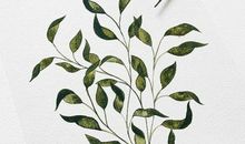 自嘲友情的句子伤感