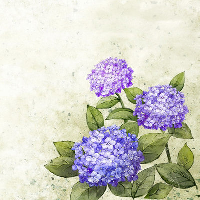 关于友谊的英语句子