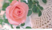 送给爱人2021年的句子