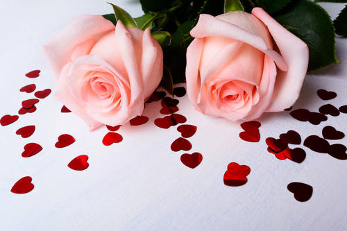 送女朋友花贺卡