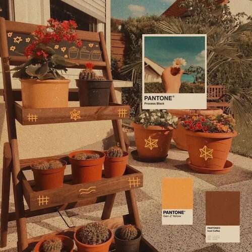 40，有些人给你心脏，你可以假装看到，因为你不喜欢它;有些人责怪你的心，你假装痛苦，因为你爱。