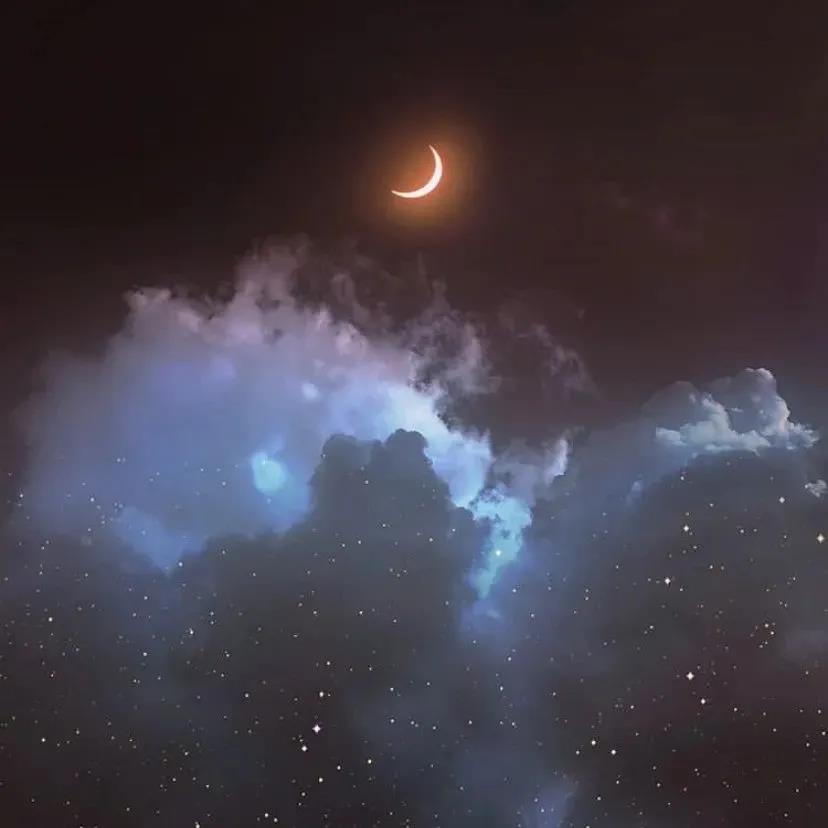 我听说晚上有很多小白痴暗中擦了擦眼泪。