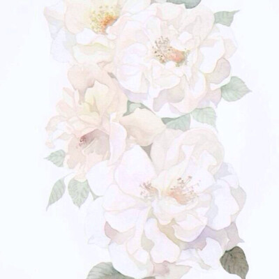 漫长的友谊美学句