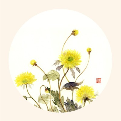 与美丽句子的长友谊1