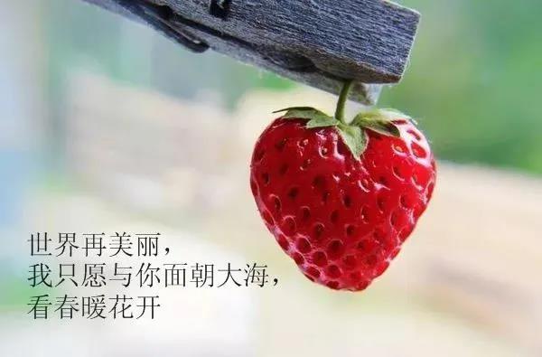 40，一个你，一个我，一颗心，不要放手，不要在一起，一起，这就是我想要的。