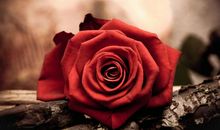 情人节送给男朋友的祝福语