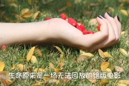 35，至少一次，忘记某人，忘记自己，不要要求结果，不要问同龄人，不要要求你，不要要求你爱我，只是寻求最美好的一年，遇到你。