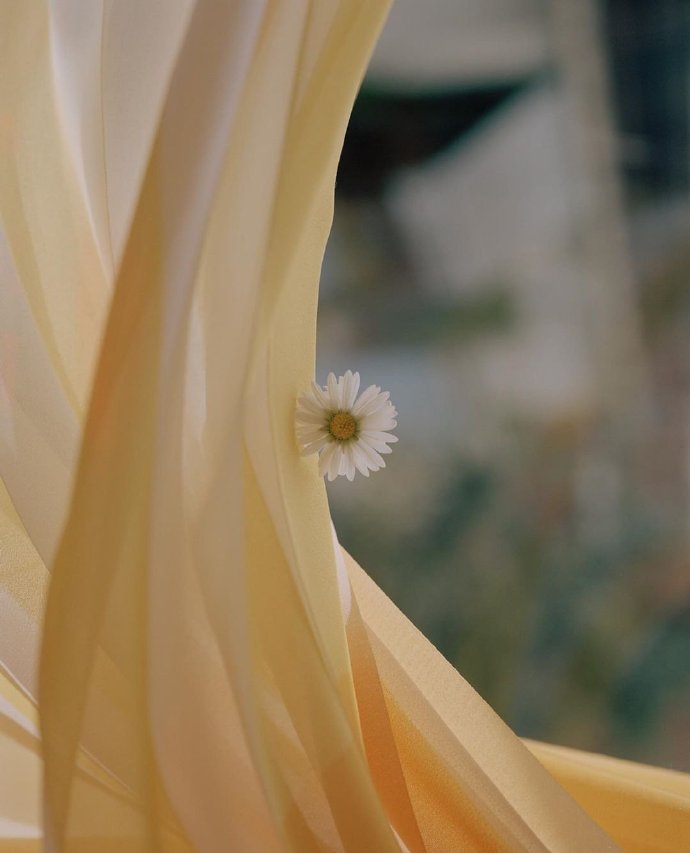 15，恢复健康，是上帝的核心;平坦的平静，是存在的真正含义，快乐，是未来的日期，回归幸福，它应该是甜蜜的。有四个海上朋友的支持愿望，并且敢于阻止和平的早期恢复。