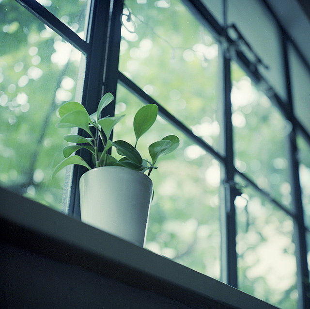 我喜欢一个男性同事应该发短信吗？ 1