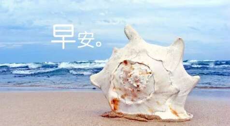 15.成年人的世界不存在永恒的山峰。你最强大的依靠山是你的努力和独立。早上好〜