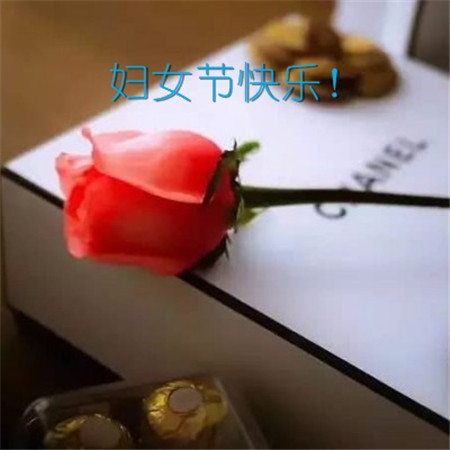 3月8日女子节好祝福句子1