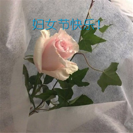 15.母亲爱就像海，养我的成年人，母亲就像泰山一样，照顾我的成长。母亲是一条河流，摇摆，母亲是港口，照顾。伟大的母亲，这是幸运的。妇女节：妈妈安康是一生。