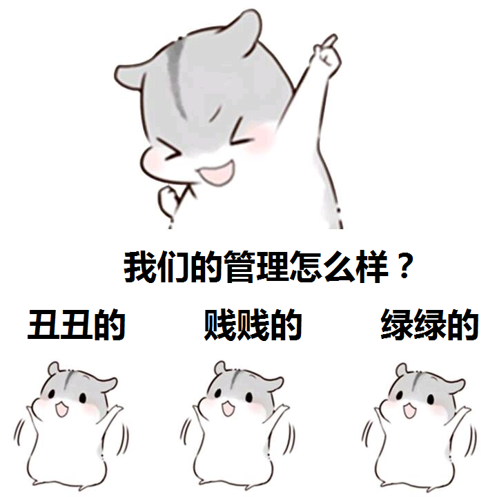 15，团队名称：奇迹，团队口号：不要等待奇迹，因为奇迹正在等待我们创造