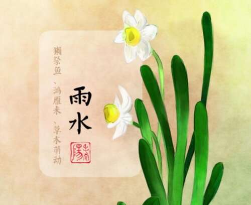 今天是谈论1的雨