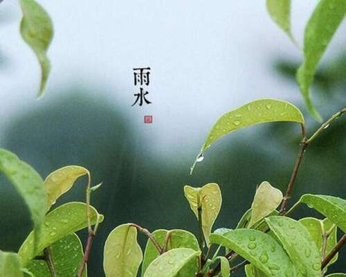 关于雨水的句子