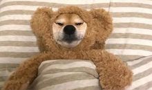 一年到头回家的说说