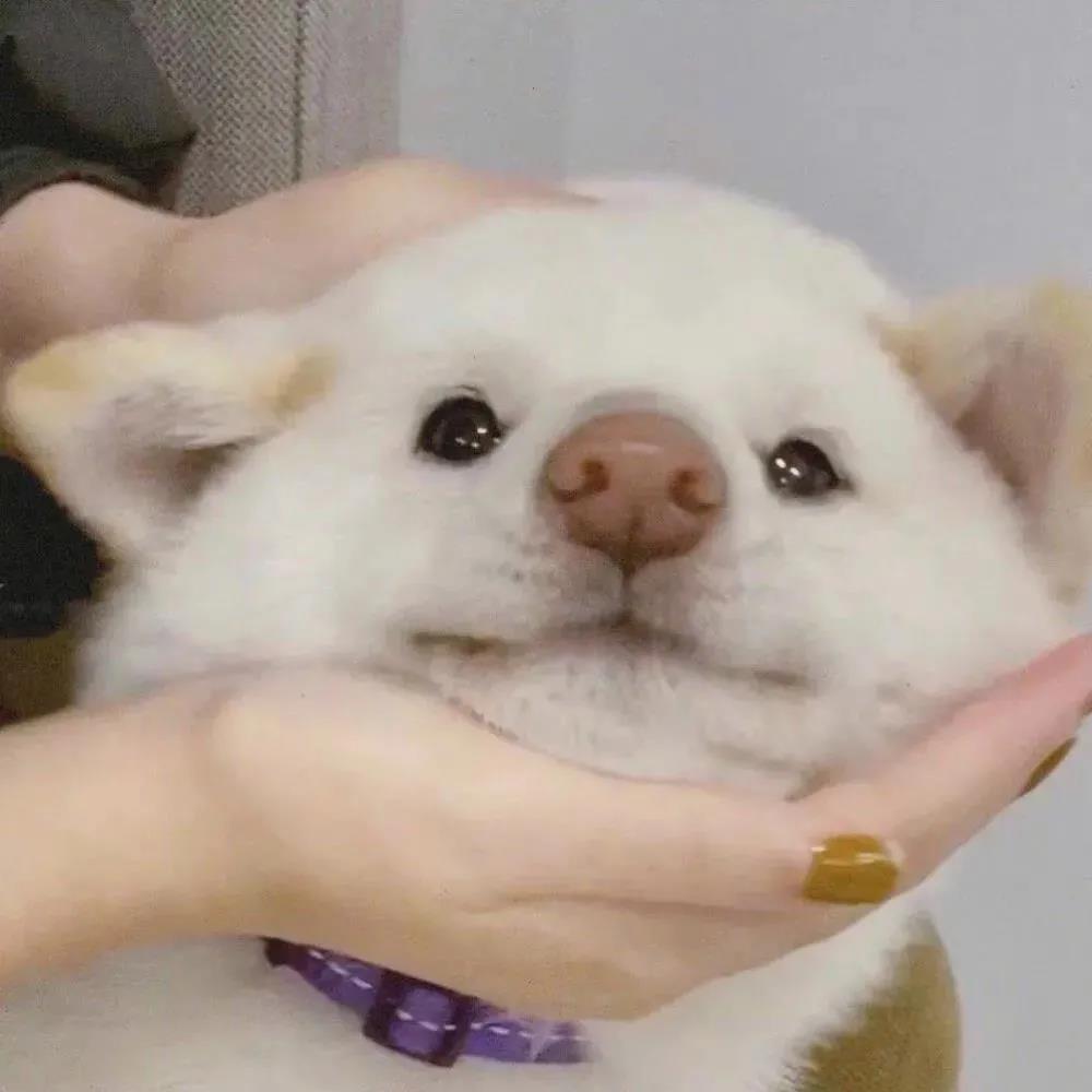 告诉别人回家一年1