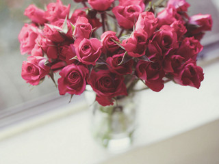 16，玫瑰是开放的，情人节再来。花是开放的，而牛仔编织女性爱仍然存在。今天，我很高兴爱，明朝很高兴变老，我希望恋人终于成为一个属！祝你情人节快乐！