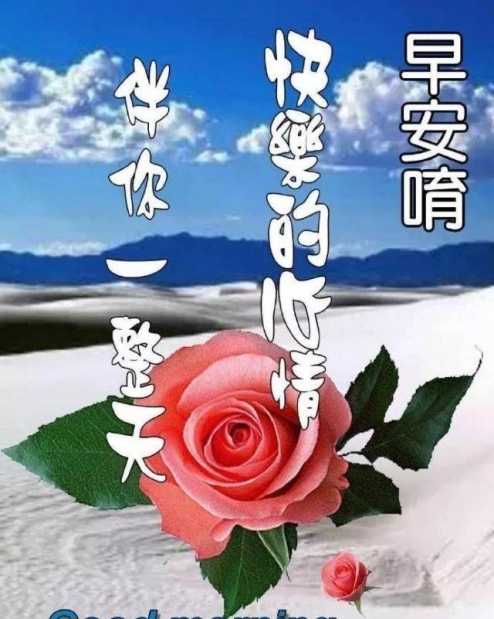 对爱人说的早安问候语