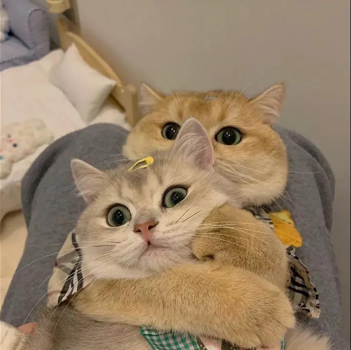 40，雨是一生，雨是乐趣和悲伤。