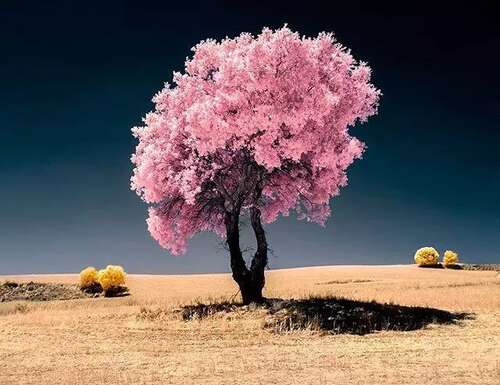 40.辛勤工作的意义是，在未来，我看着它，一切都是你喜欢的人和事！