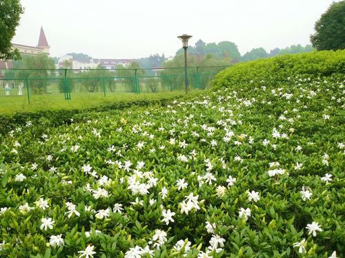 描述哀悼的经文