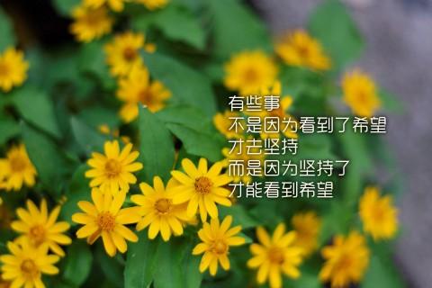 年轻和坚硬的励志句子