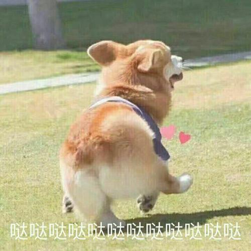 甜爆炸的小童话签名