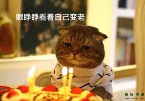 睡觉发朋友圈英语说说