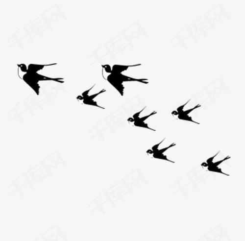 关于燕子飞行的文字描述