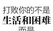 2021年最幽默搞笑的句子