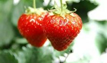 晚安的朋友圈说说带图片