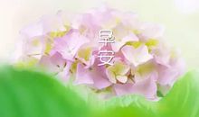 早安暖心话 早上一句暖心的话